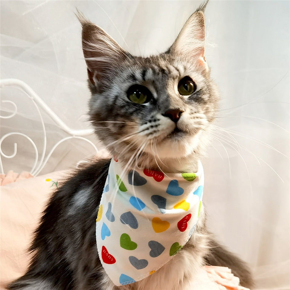 Bandana Pet Bib