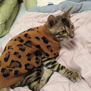Tricot Pet Animale