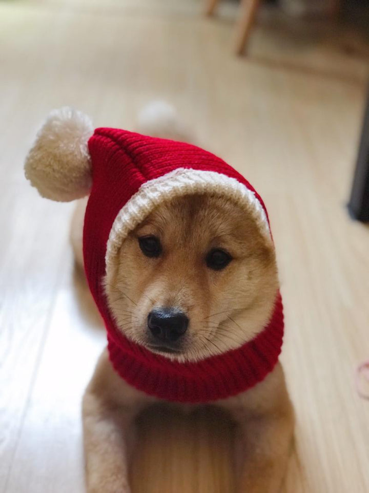 Gorro Pet Natalino