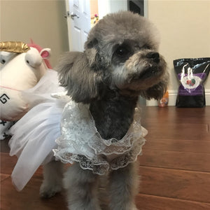 Vestido Pet Bride