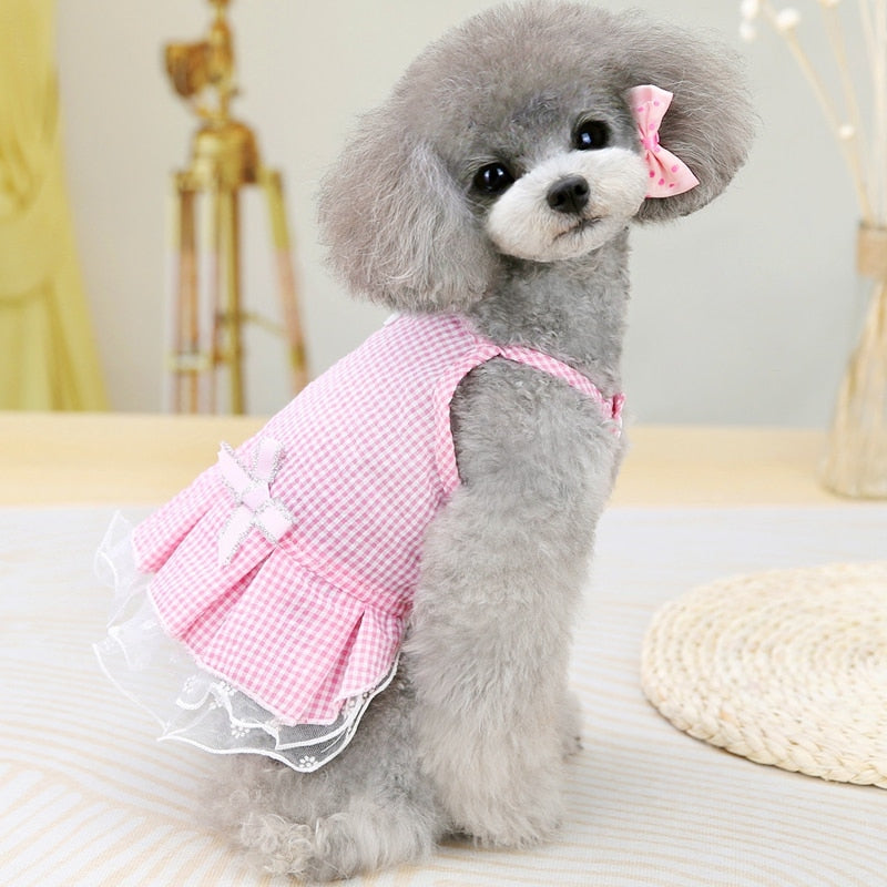 Vestido Pet Belle