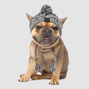 Gorro Pet Will