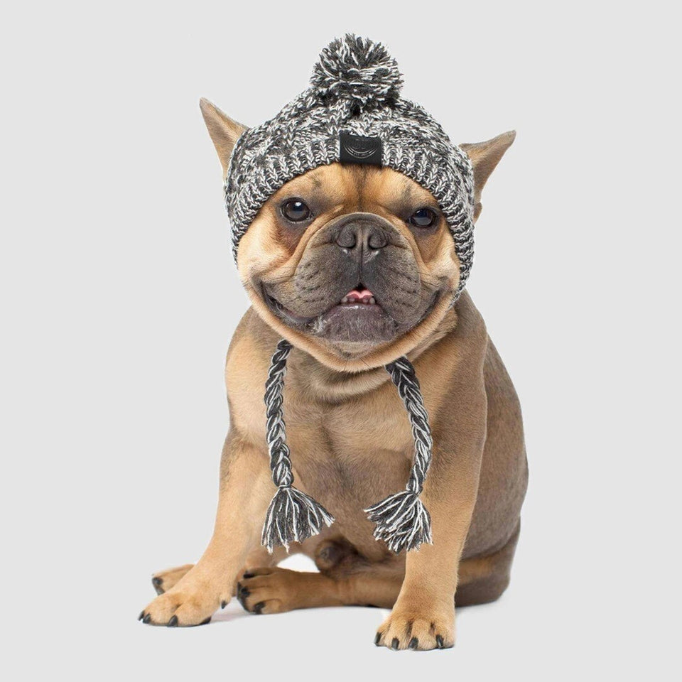 Gorro Pet Will