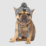 Gorro Pet Will