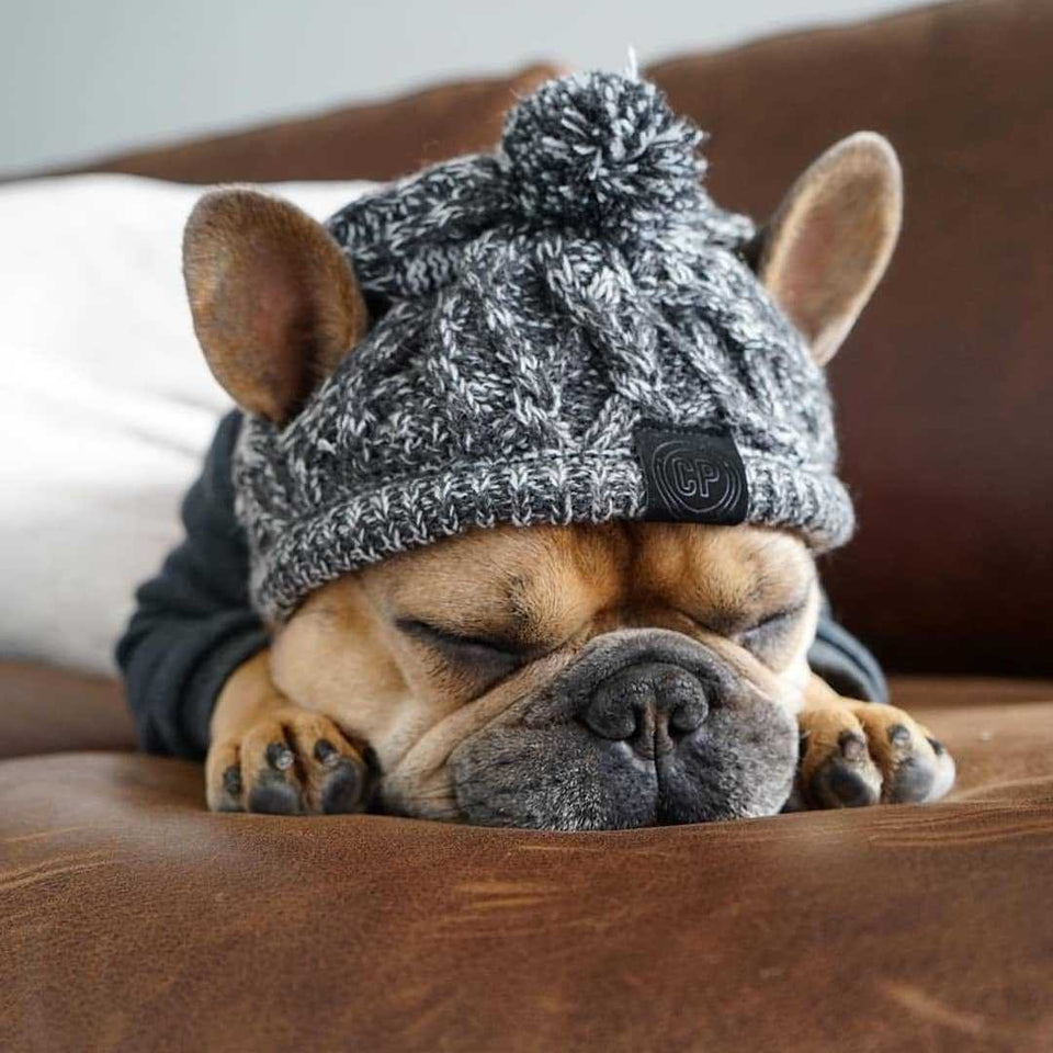 Gorro Pet Will