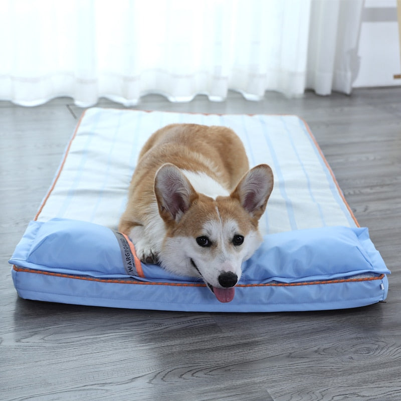 Cama Pet Pitter