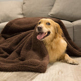 Cobertor Pet Cozy