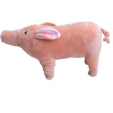 Urso Porquinho Pet