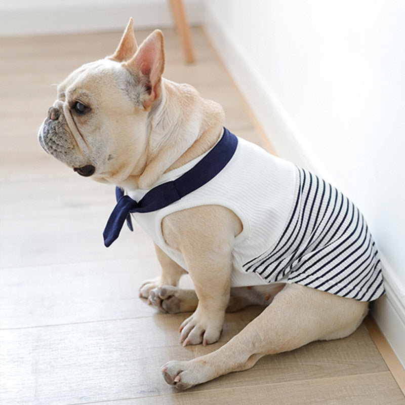 Regata Pet Navy