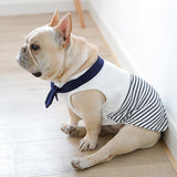 Regata Pet Navy