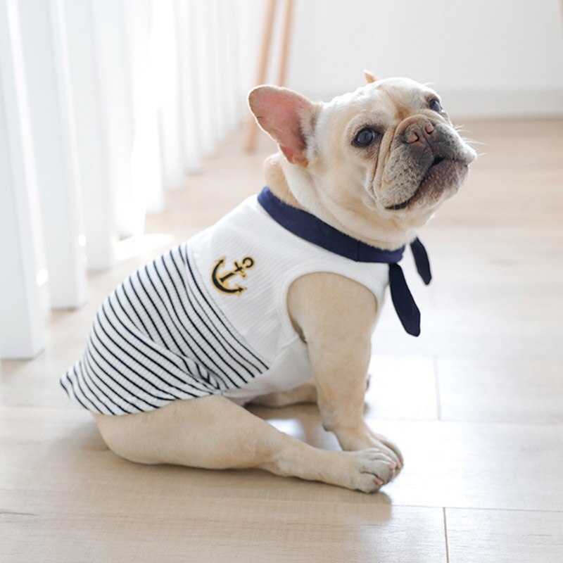 Regata Pet Navy
