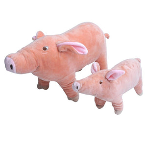 Urso Porquinho Pet