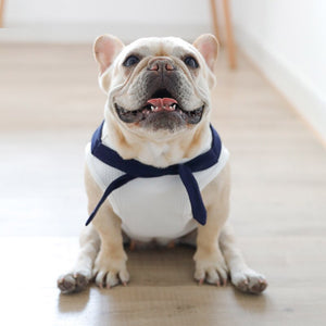 Regata Pet Navy