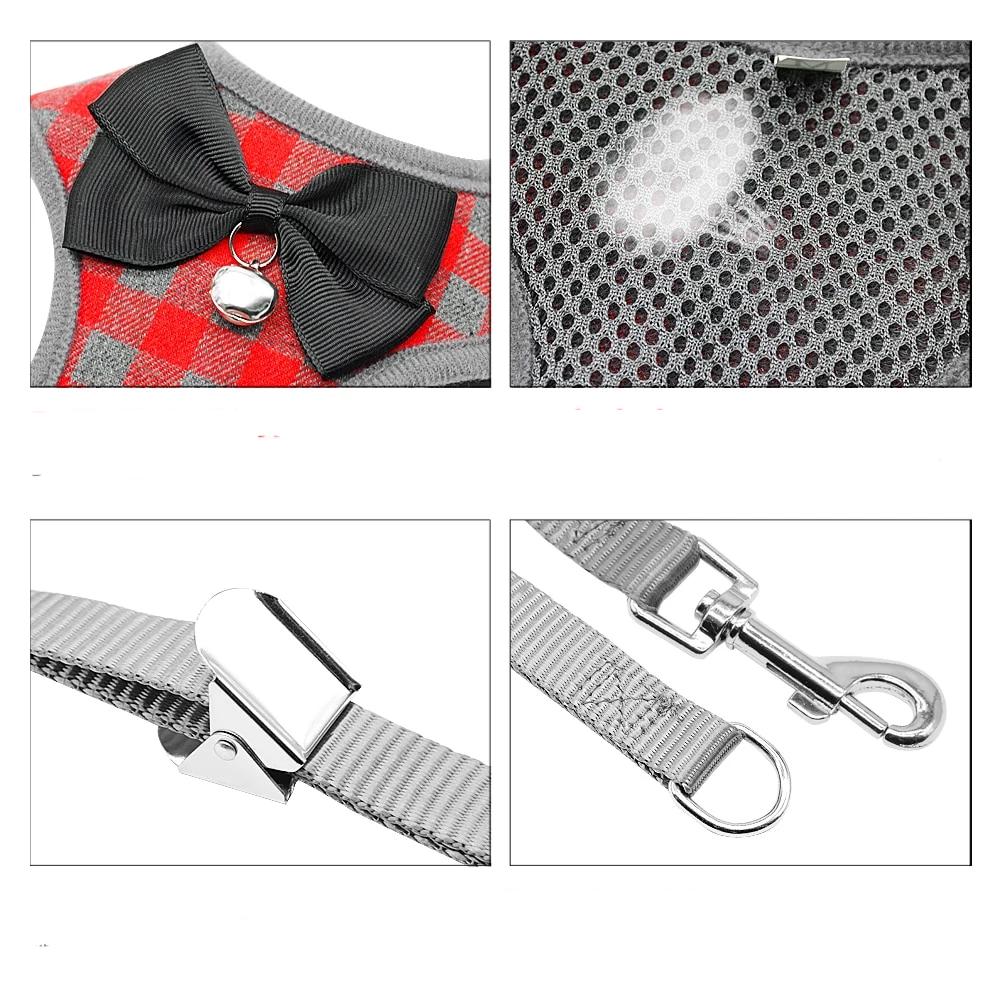 Colete Gravata Borboleta Com Guia Lord