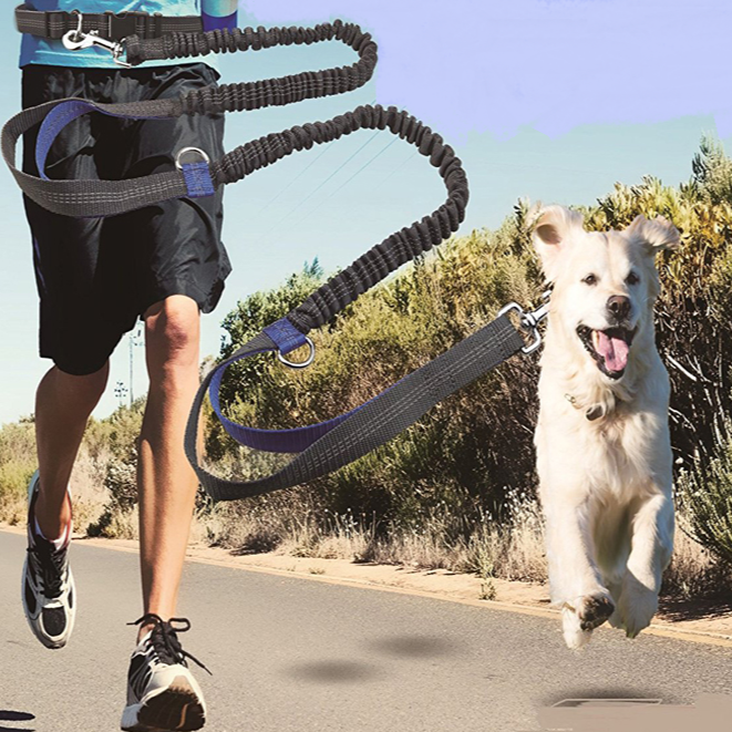 Corda Elasticidade Running