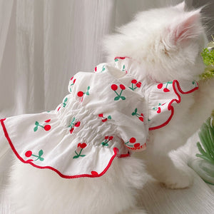 Vestido Pet Kathi
