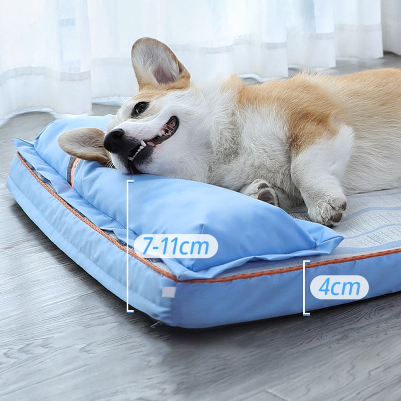Cama Pet Pitter