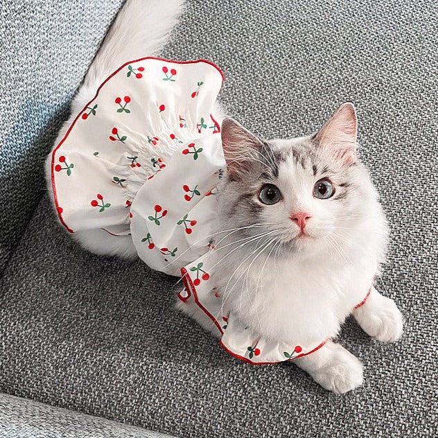 Vestido Pet Kathi