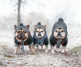 Gorro Pet Will