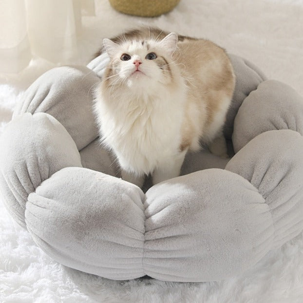 Puff Pet Flower
