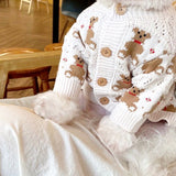 Cardigan Pet Biscuit
