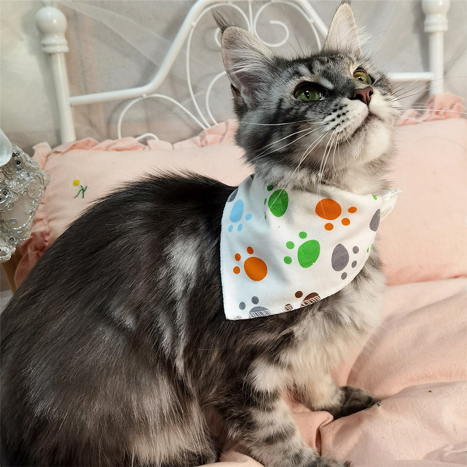 Bandana Pet Bib