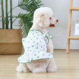 Vestido Pet Kathi