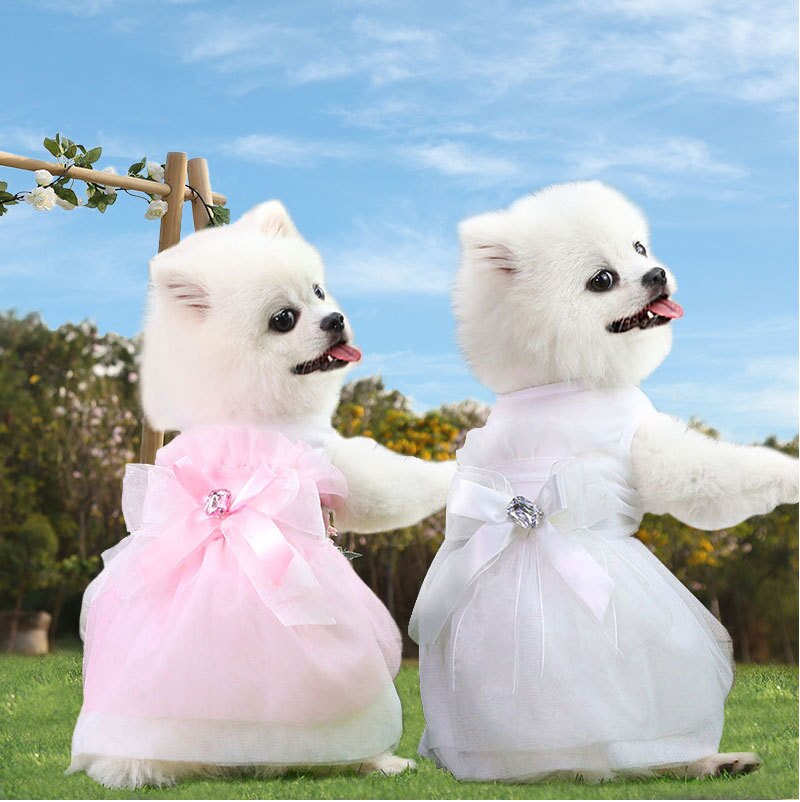 Vestido Pet Wedding