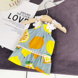 Vestido Frutinhas Loli