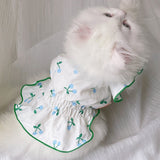 Vestido Pet Kathi