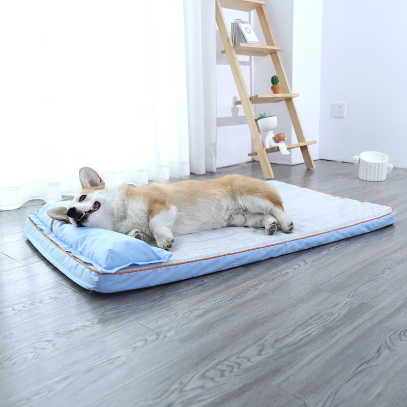 Cama Pet Pitter