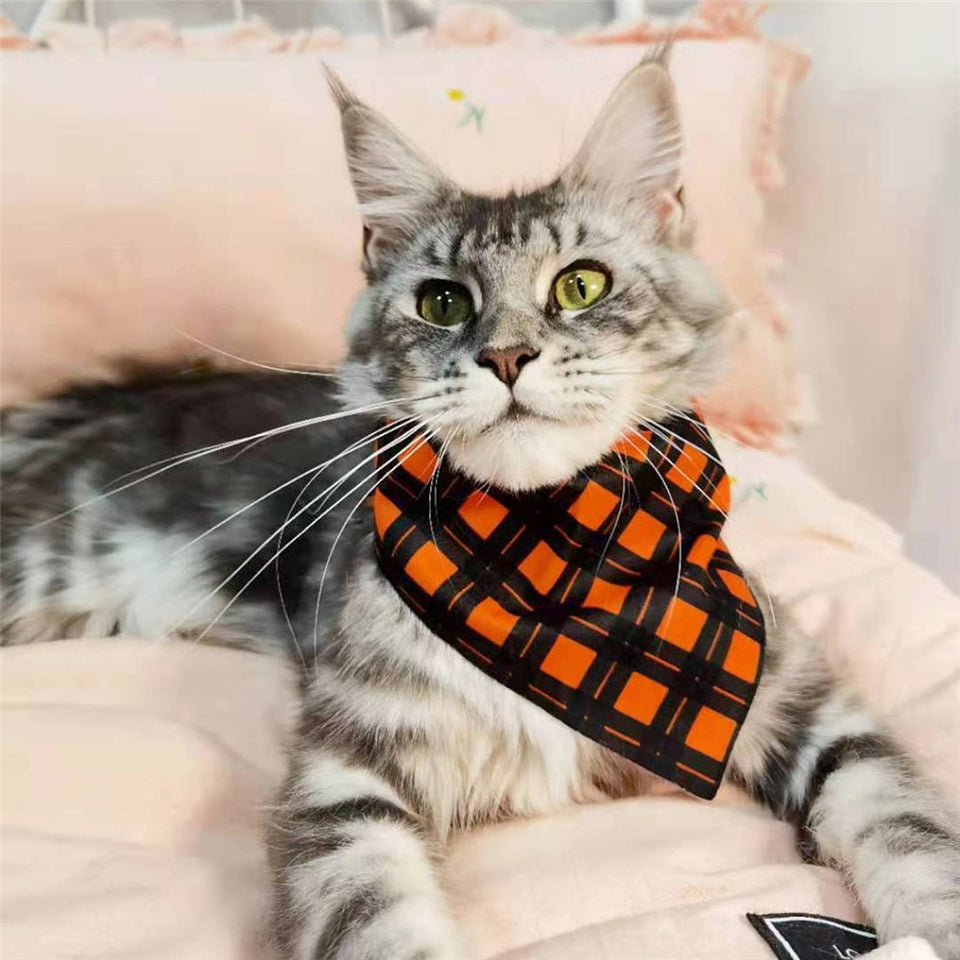 Bandana Pet Bib