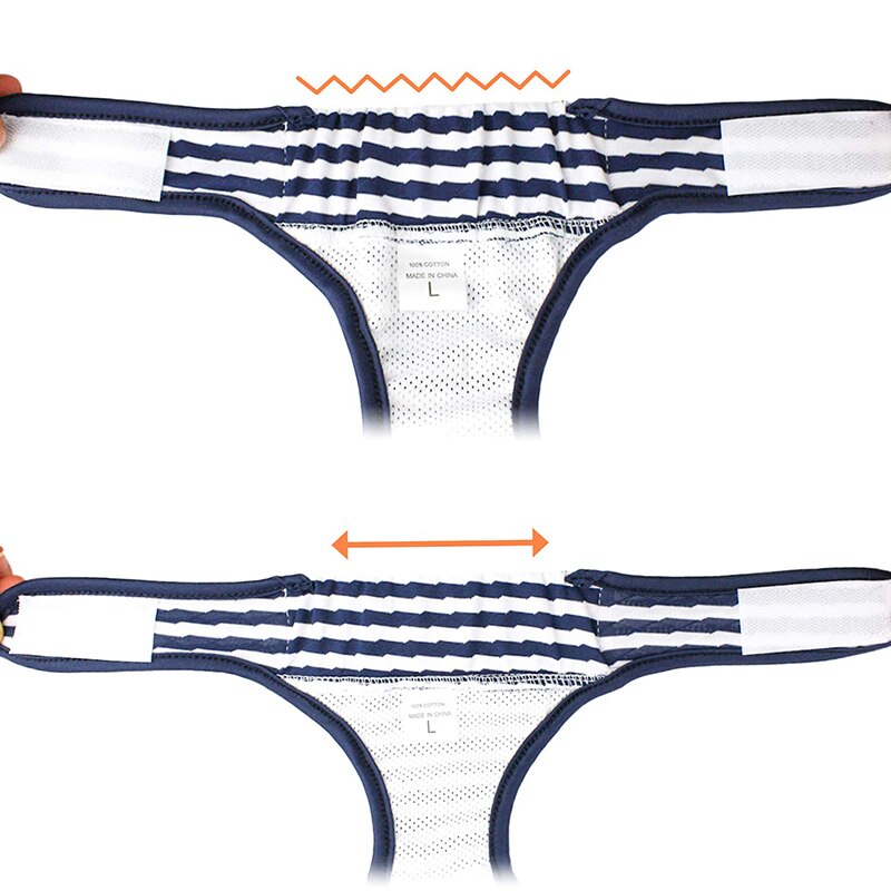 Fraldinha Listrada Ocala