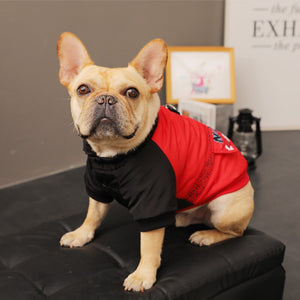 Jaqueta Pet Oufit