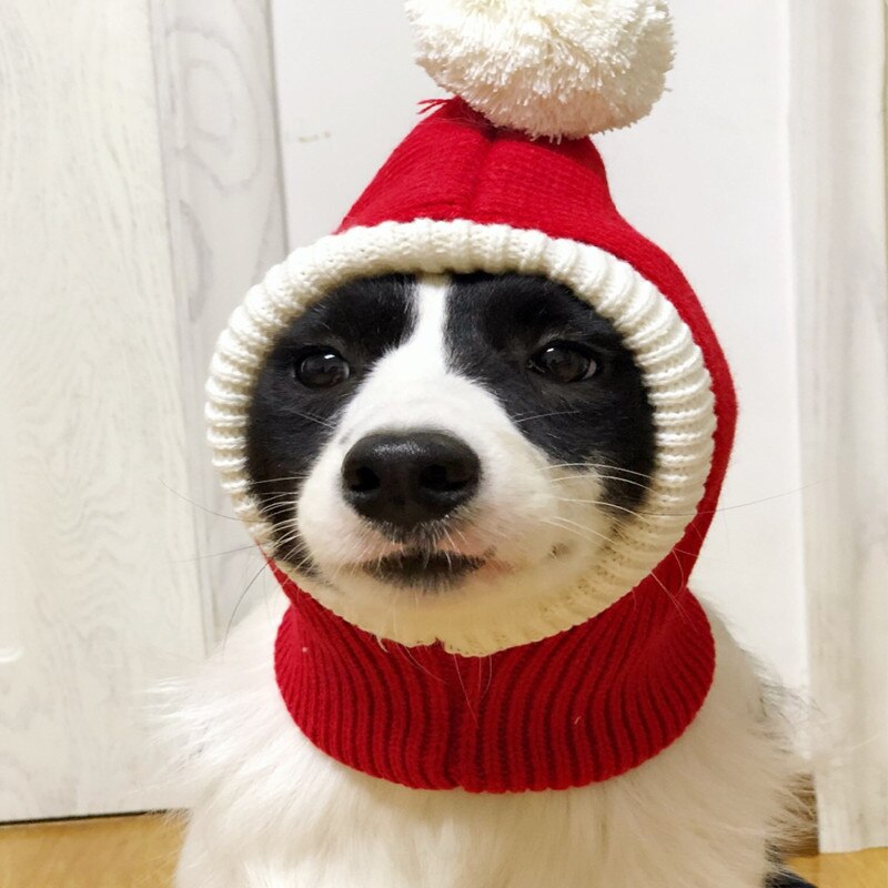 Gorro Pet Natalino