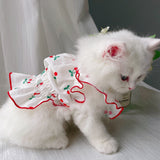 Vestido Pet Kathi