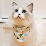 Bandana Pet Bib