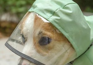 Capa de Chuva Pet Sillas