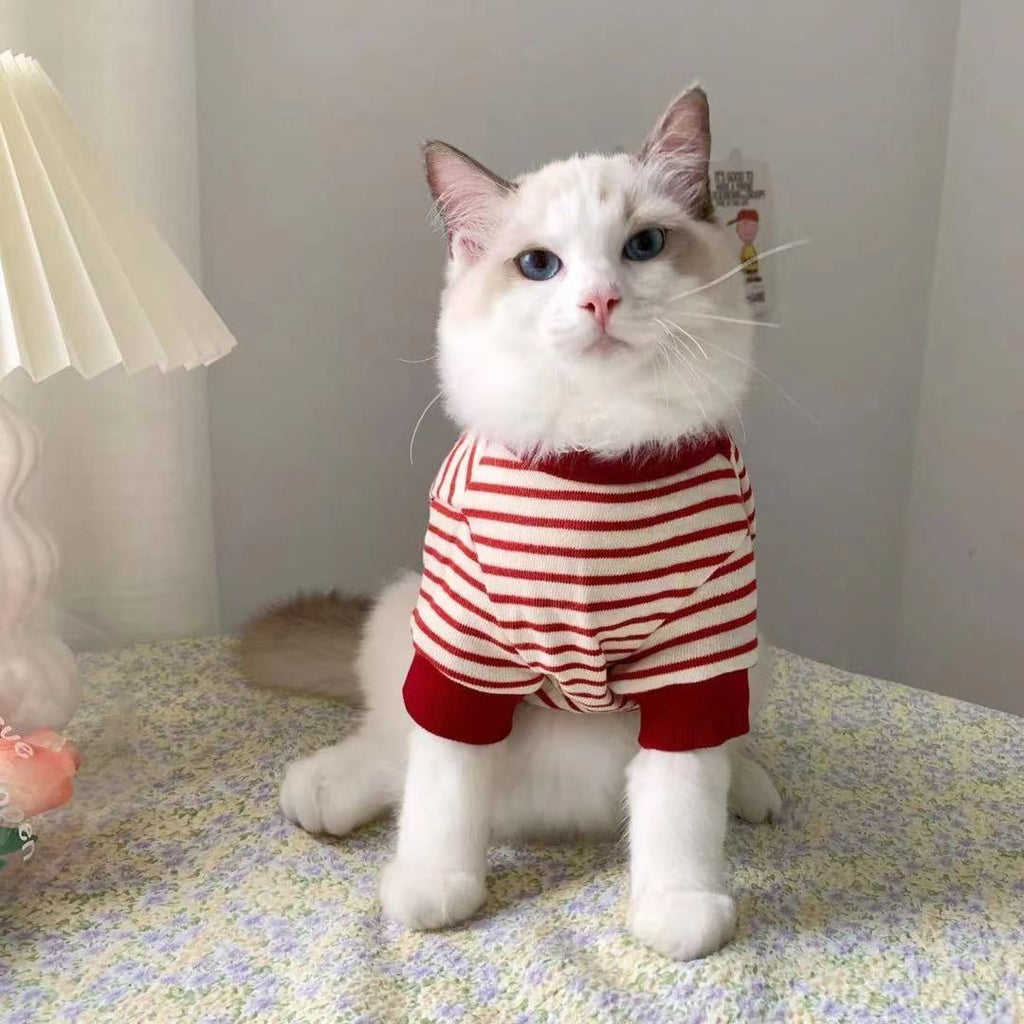 Moletonzinho Pet Lilo