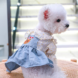 Vestido Pet Laize