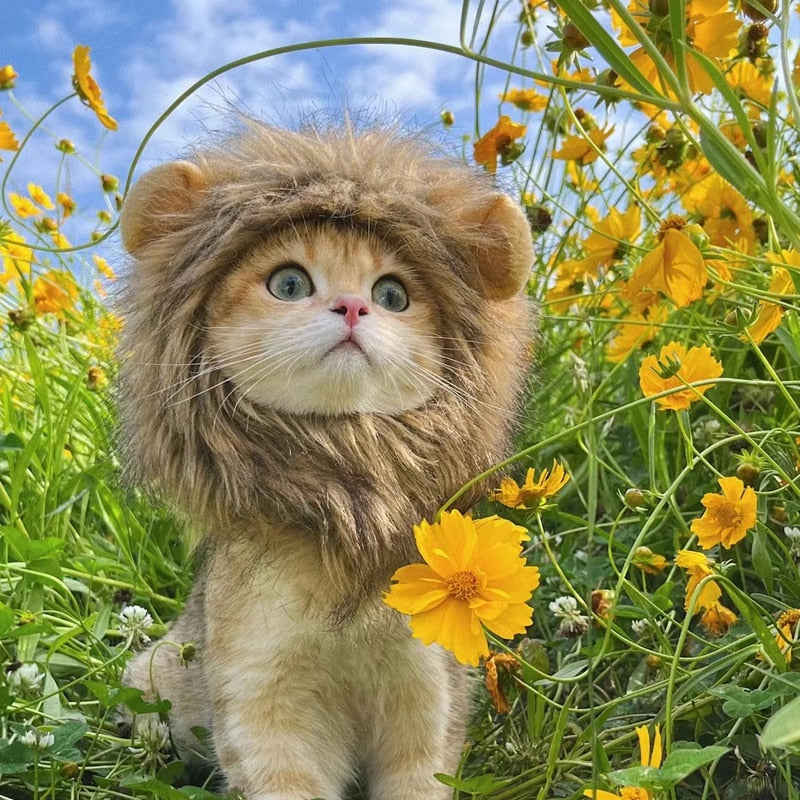 Gorro Pet Leãozinho