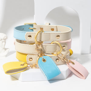 Coleira Pet Luxo Com Tag Personalizada
