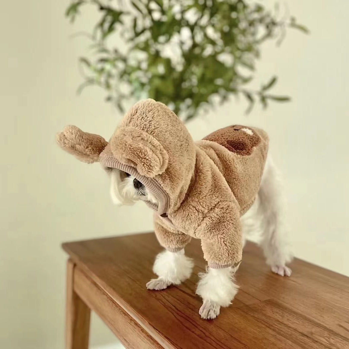 Casaquinho Fofo Bear