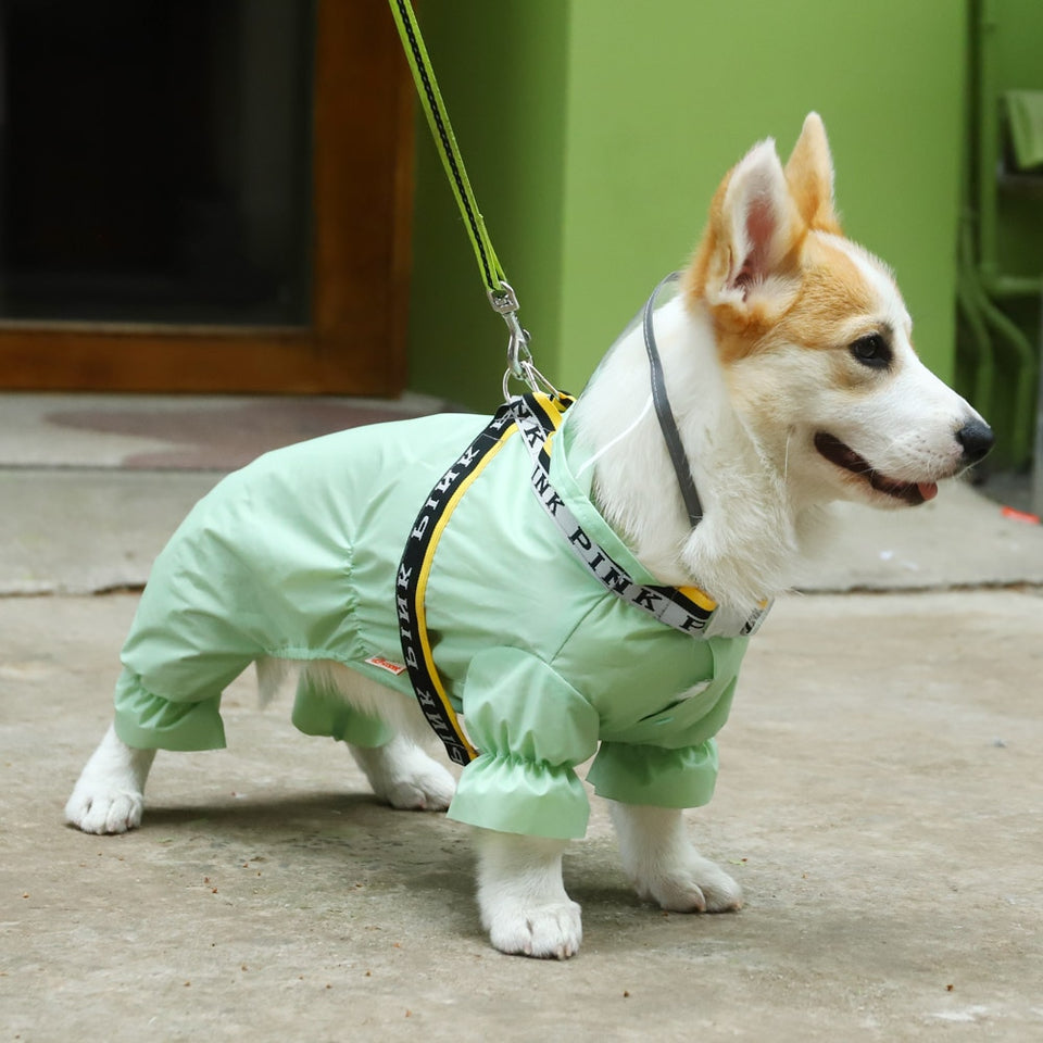 Capa de Chuva Pet Sillas