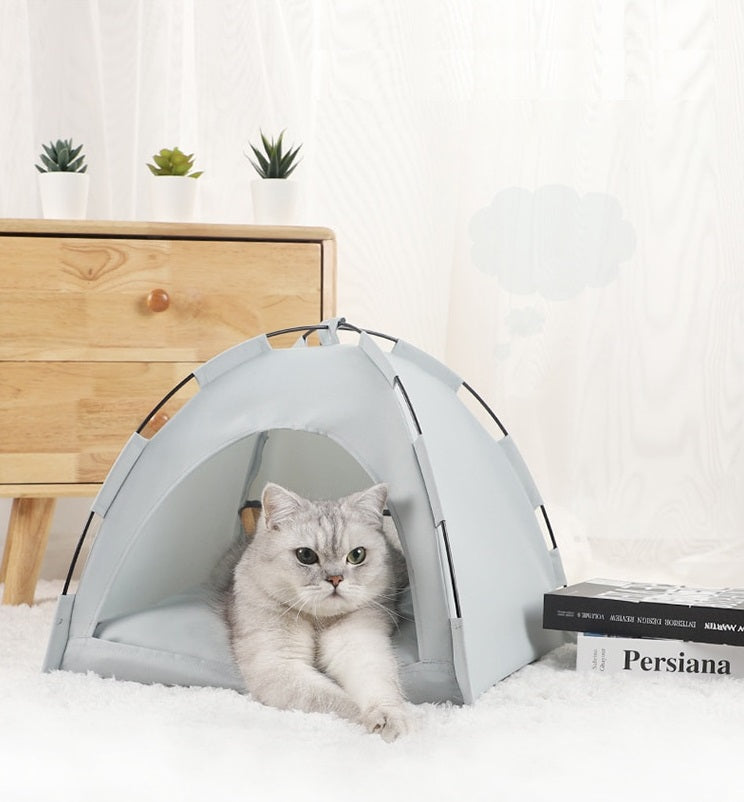 Tenda Pet Barraquinha