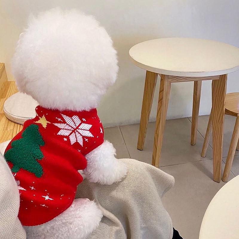 Tricot Natal Reninhas