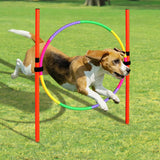 Kit de Treinamento Pet Diver