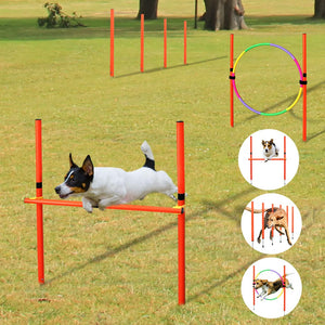 Kit de Treinamento Pet Diver