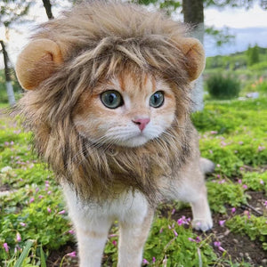 Gorro Pet Leãozinho