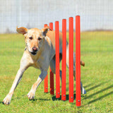 Kit de Treinamento Pet Diver